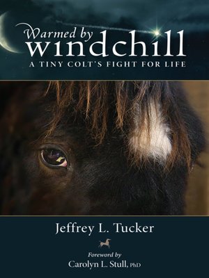 cover image of Warmed by Windchill